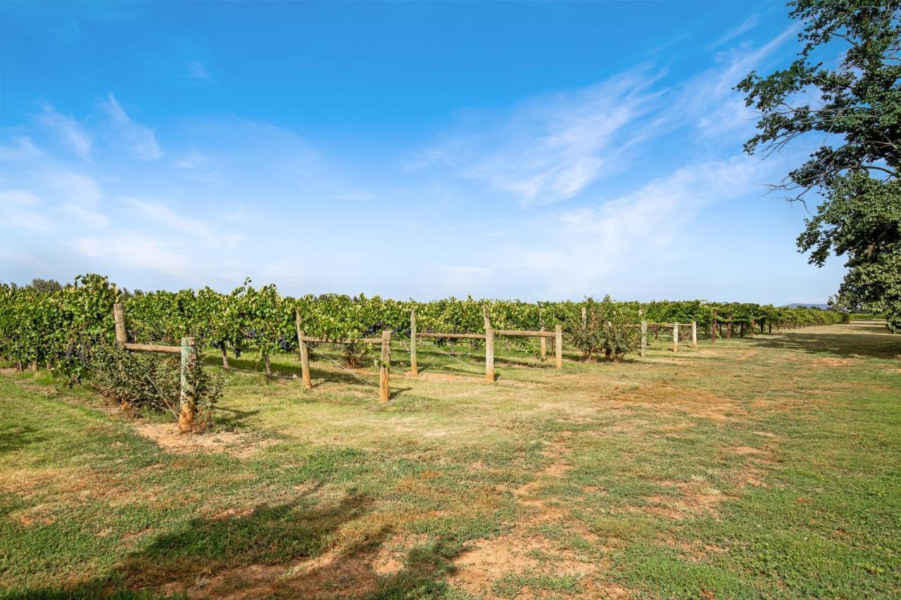 Holiday home Vineyard Views - 1